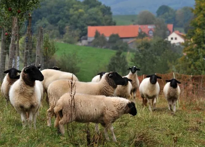 아파트 Weipert 부스텐사흐센